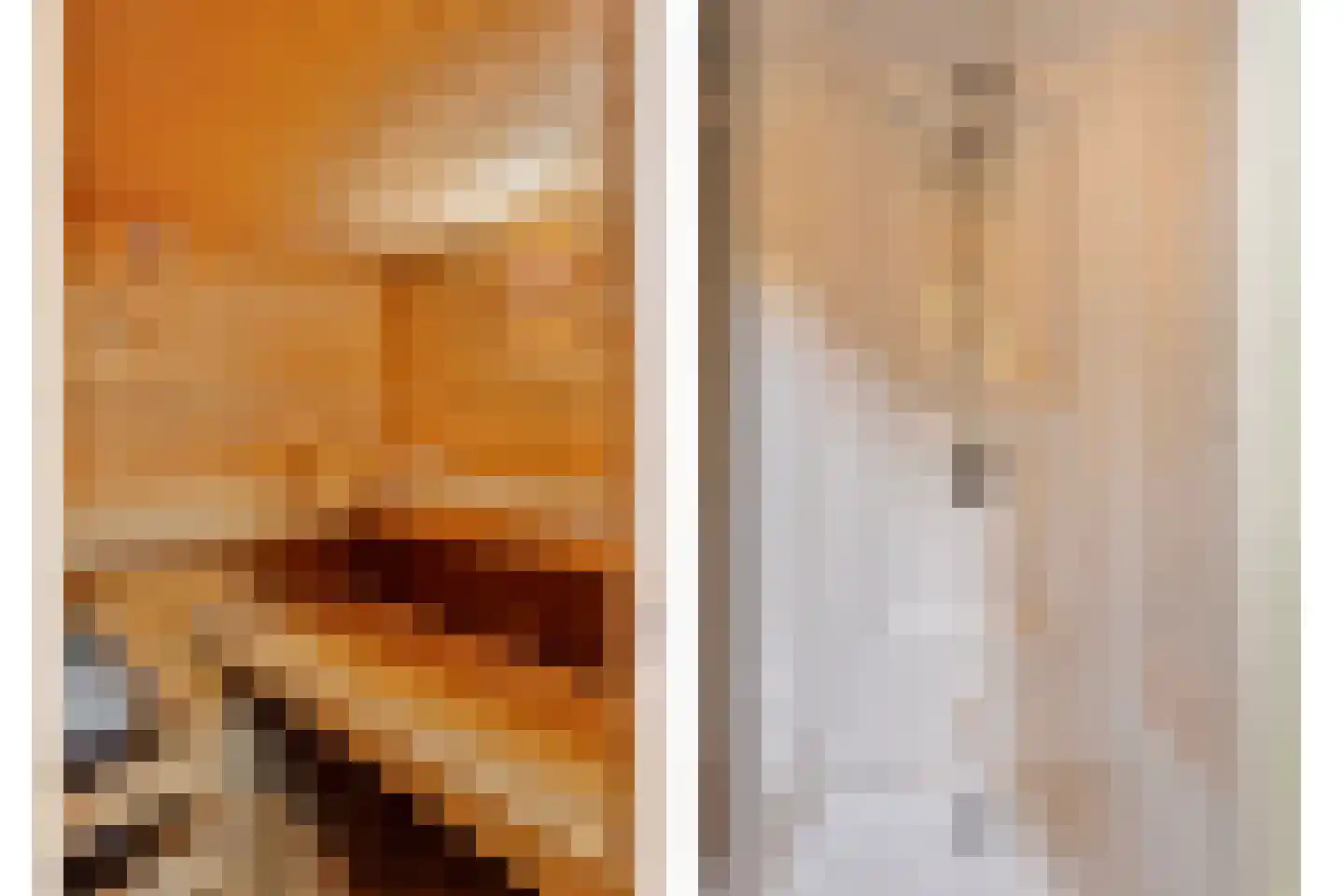 Hout oost 12 Geldrop thumbnail 42