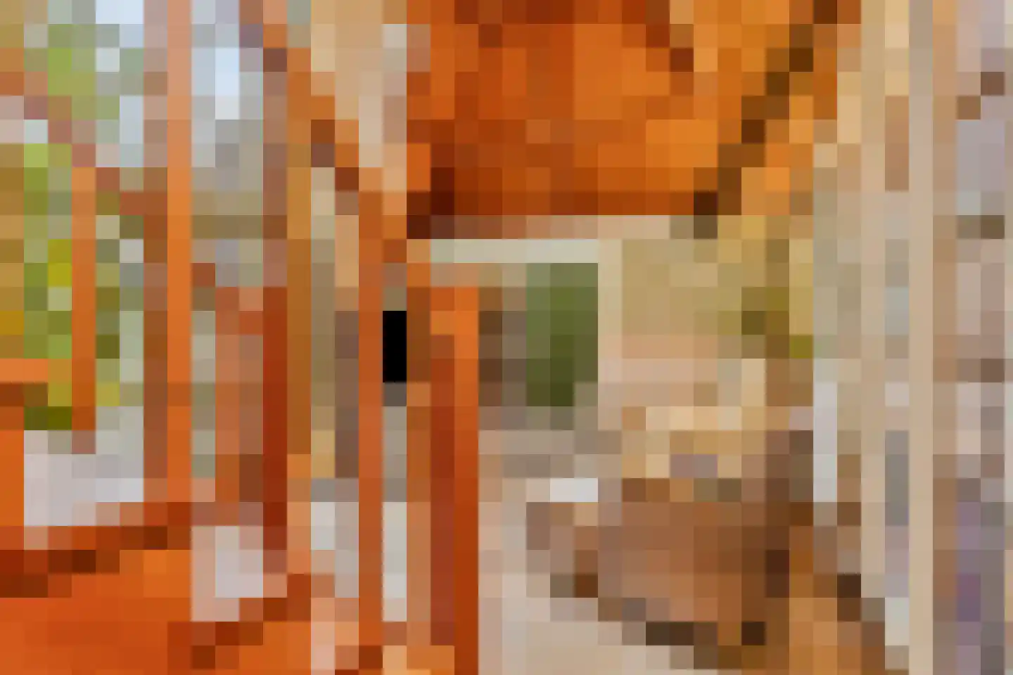 Hout oost 12 Geldrop thumbnail 43