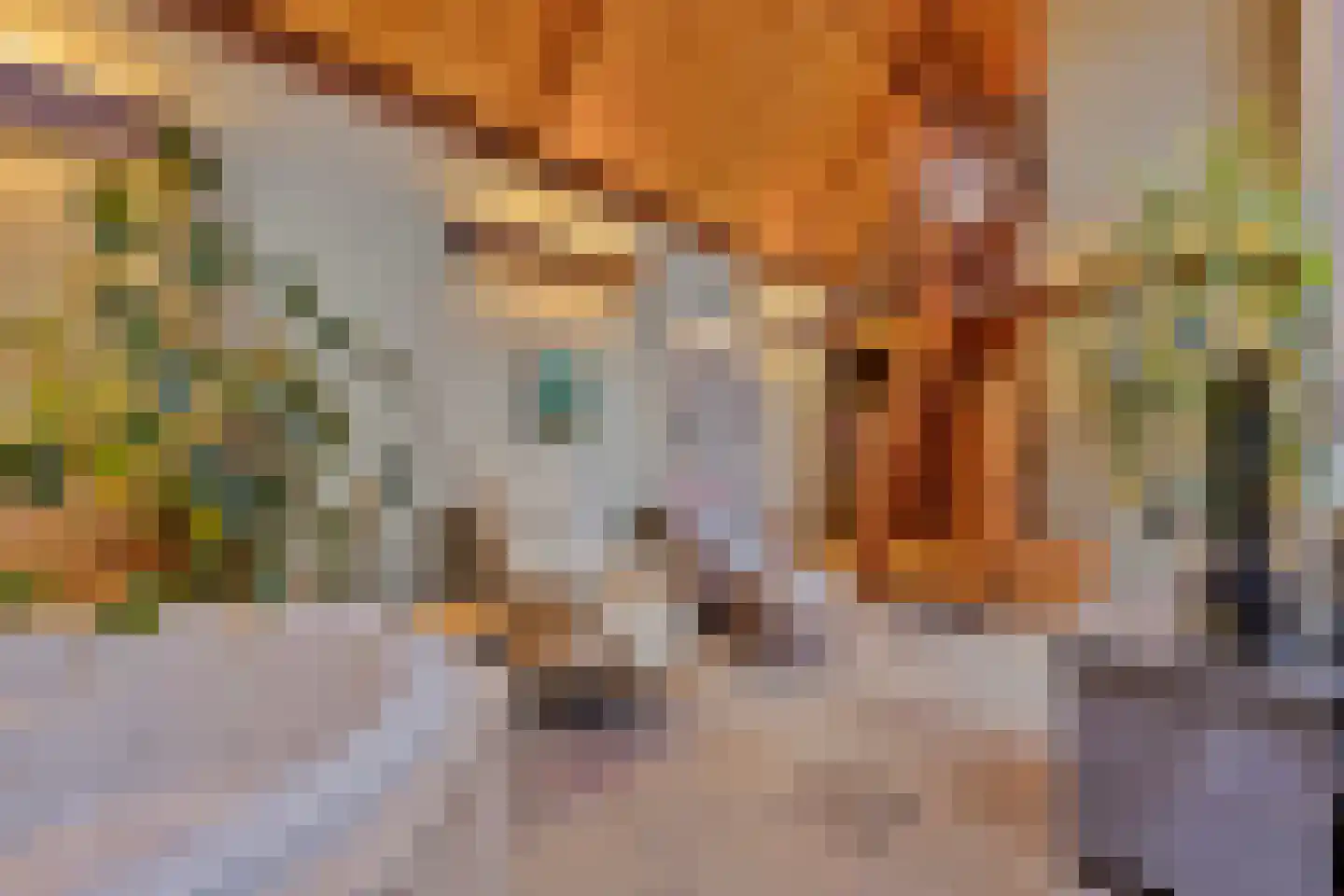 Hout oost 12 Geldrop thumbnail 48