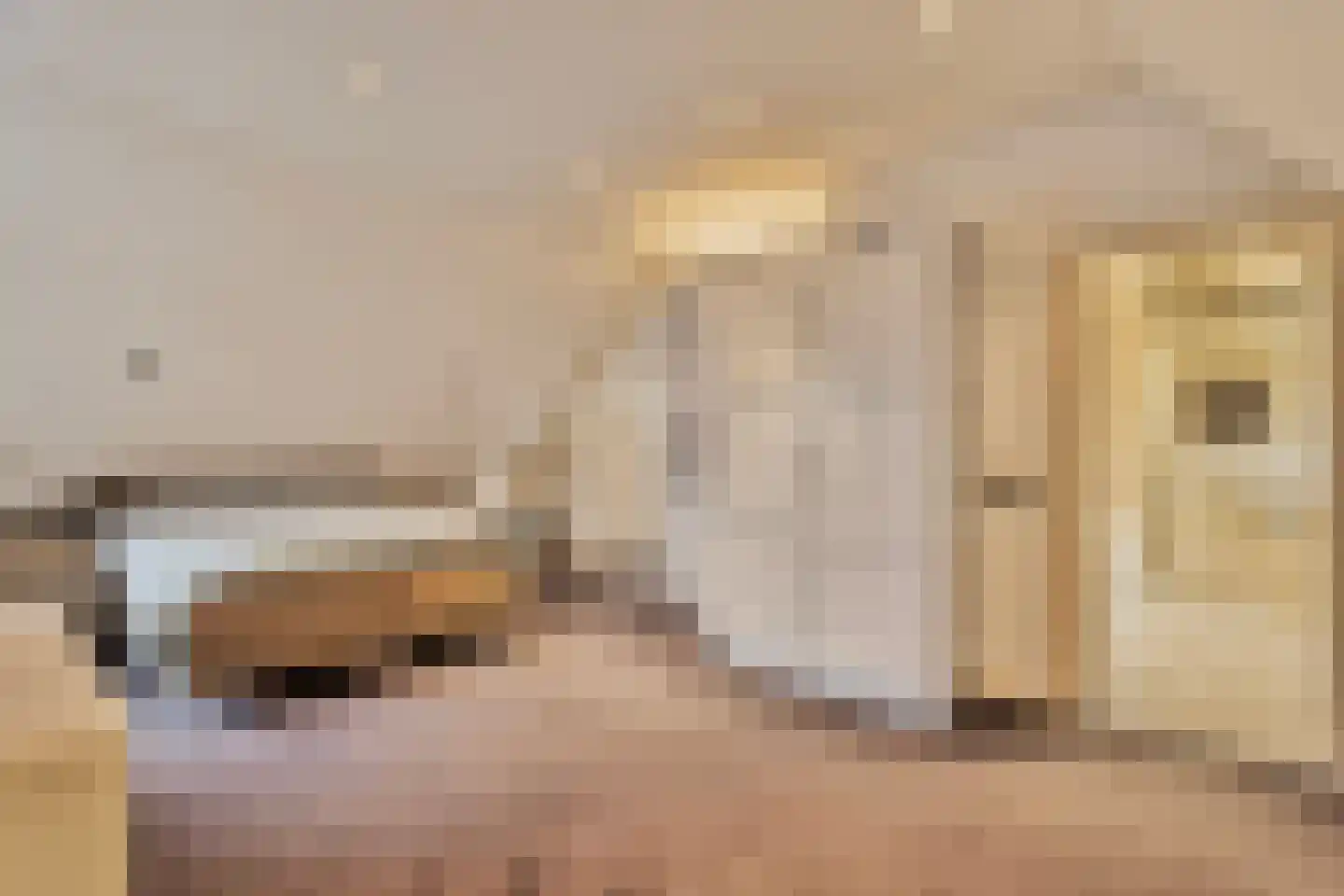 Hout oost 12 Geldrop thumbnail 58