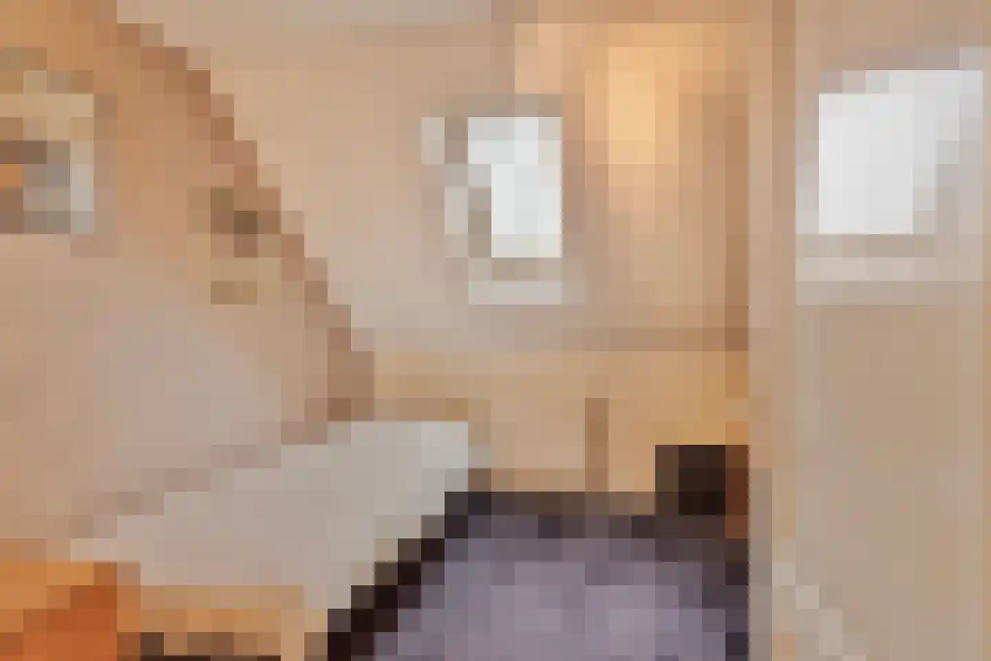 Hout oost 12 Geldrop thumbnail 64