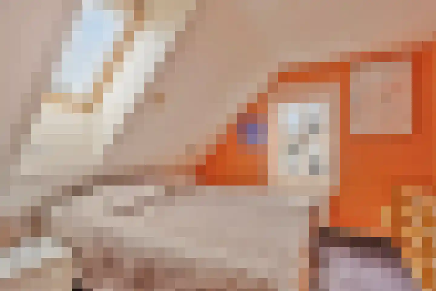 Hout oost 12 Geldrop thumbnail 68