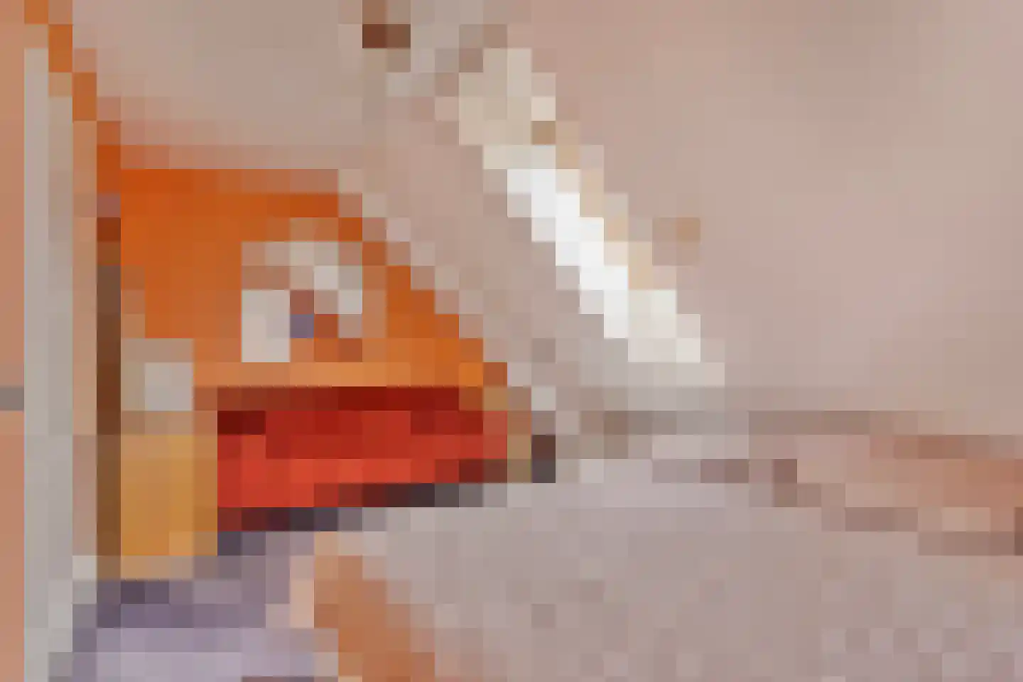 Hout oost 12 Geldrop thumbnail 69