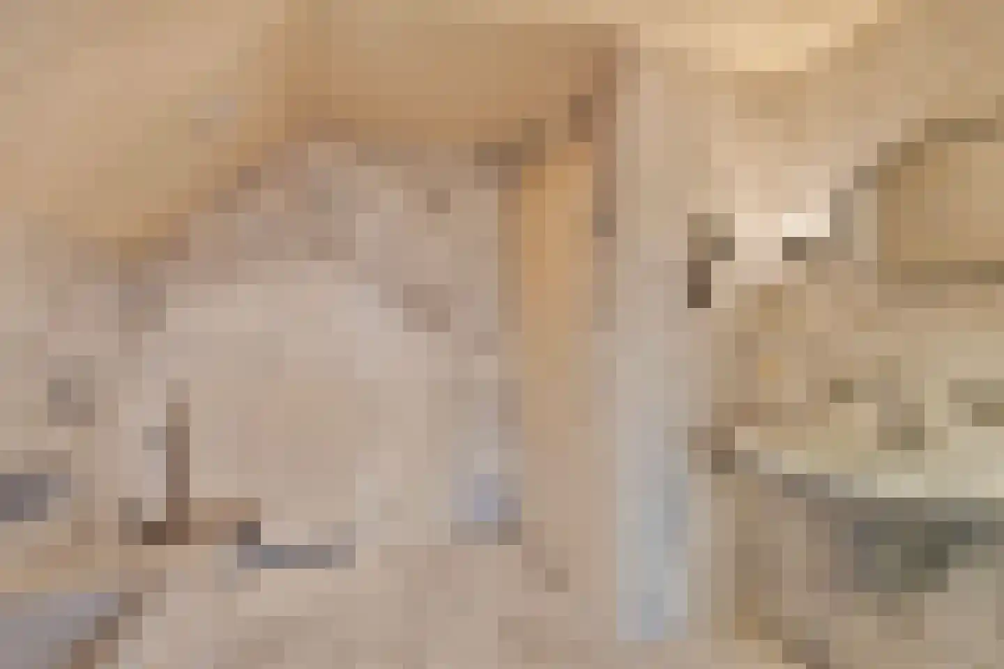 Hout oost 12 Geldrop thumbnail 71
