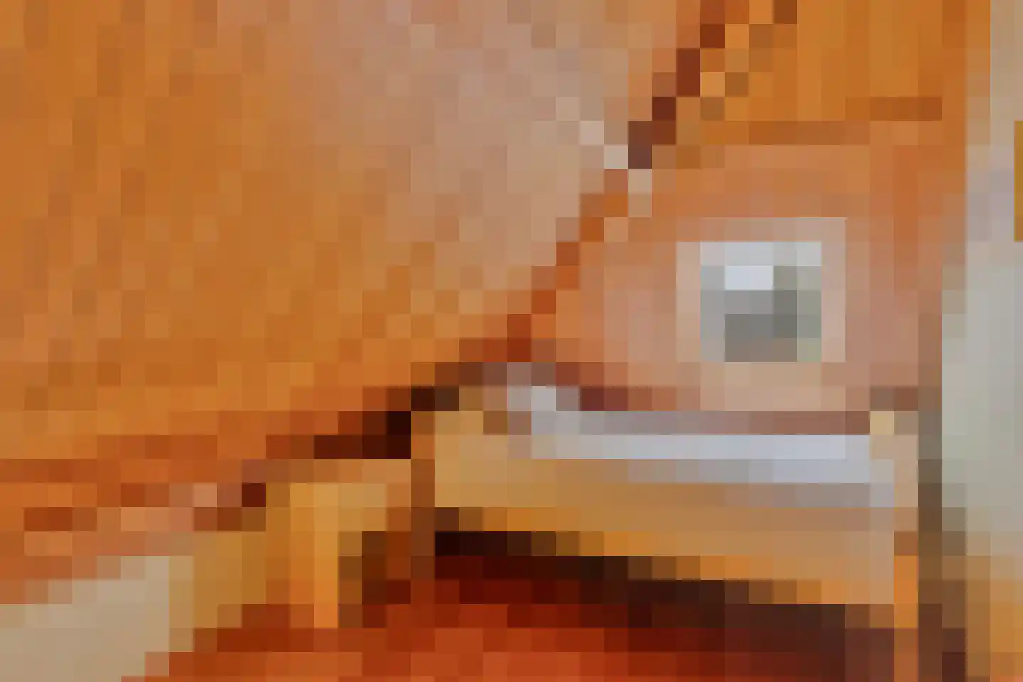 Hout oost 12 Geldrop thumbnail 74
