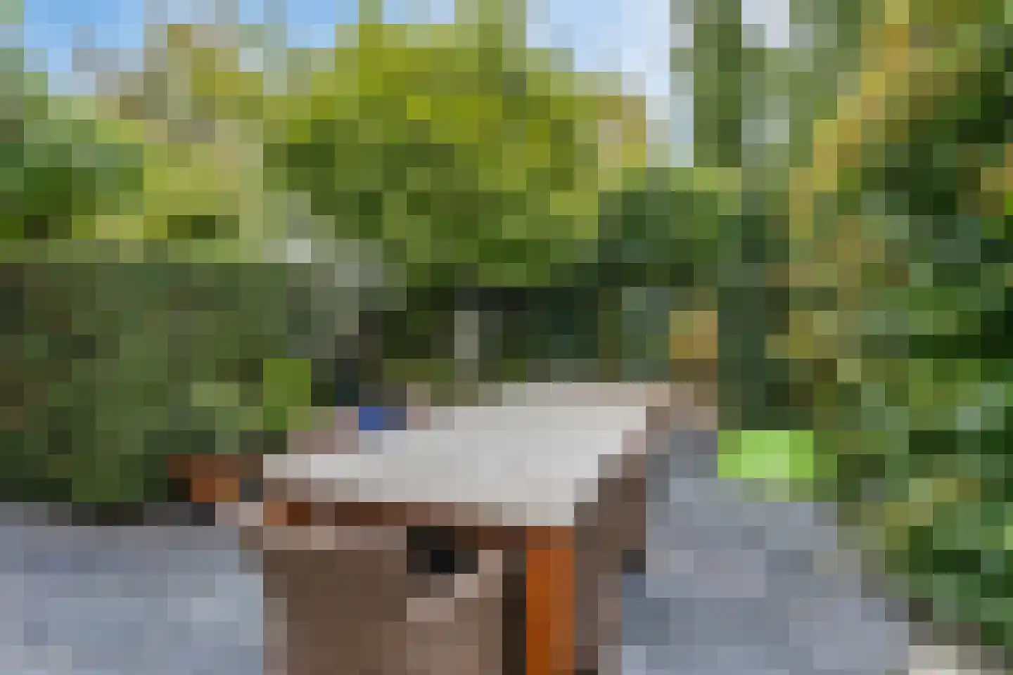 Hout oost 12 Geldrop thumbnail 88