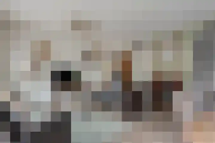 Houtduif 15 Ommen thumbnail 11