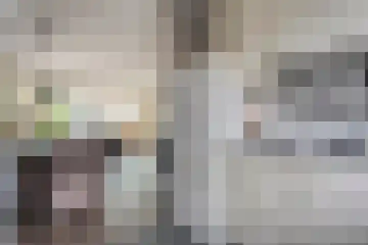 Houtduif 15 Ommen thumbnail 14