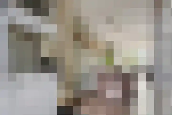 Houtduif 15 Ommen thumbnail 15