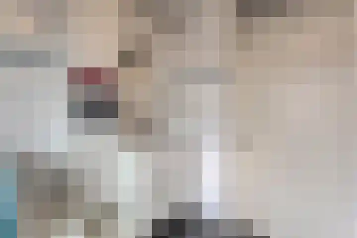 Houtduif 15 Ommen thumbnail 26