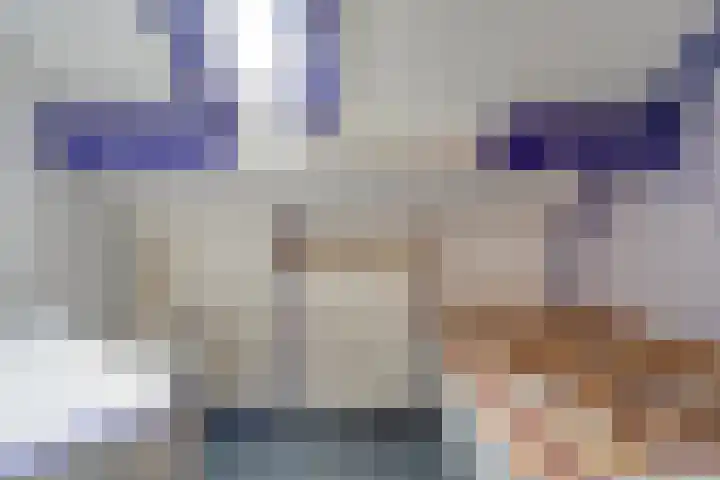 Houtduif 15 Ommen thumbnail 30