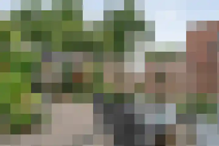 Houtduif 15 Ommen thumbnail 32