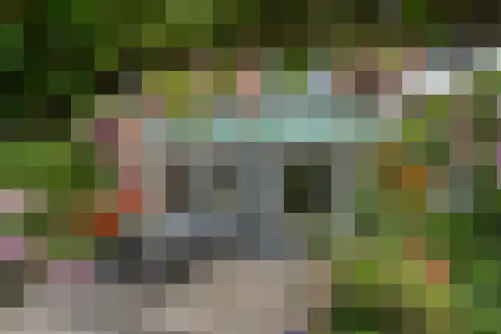 Houtduif 15 Ommen thumbnail 36
