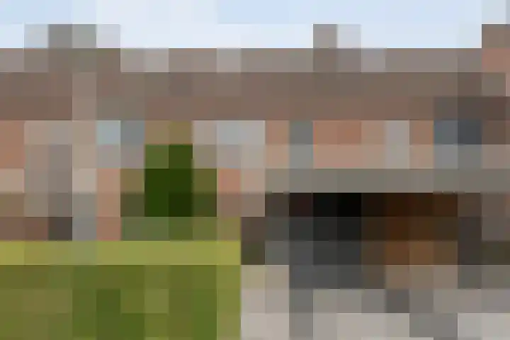 Houtduif 15 Ommen thumbnail 46