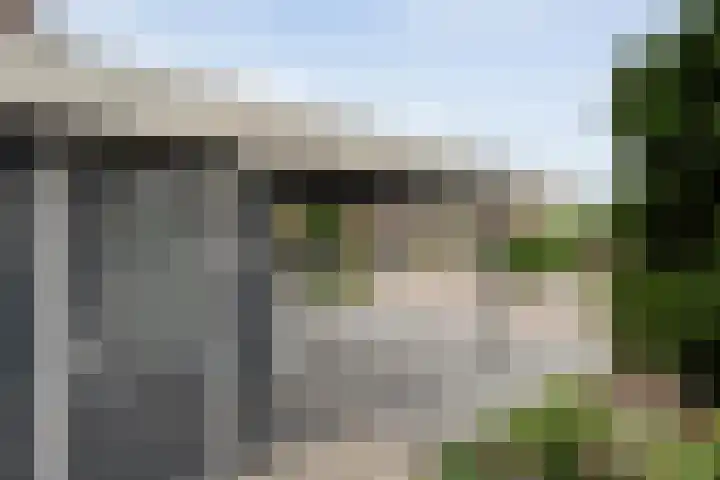 Houtduif 15 Ommen thumbnail 5