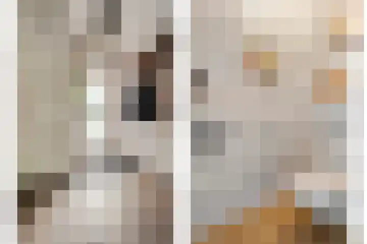 Houtduif 15 Ommen thumbnail 8