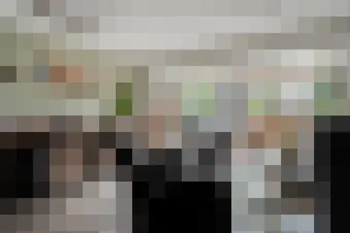 Houtduif 15 Ommen thumbnail 9