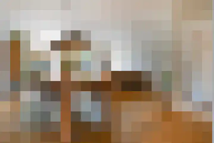 Houtduif 19 Ommen thumbnail 11