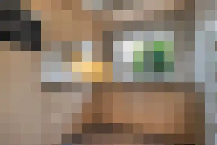 Houtduif 19 Ommen thumbnail 18