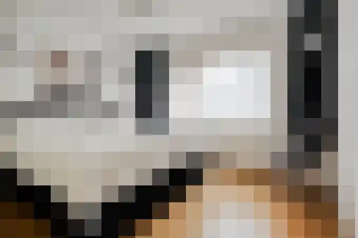 Houtduif 19 Ommen thumbnail 25