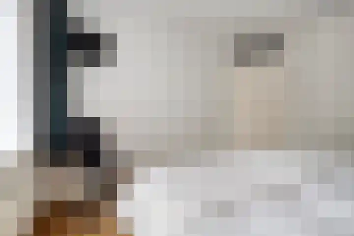 Houtduif 19 Ommen thumbnail 26