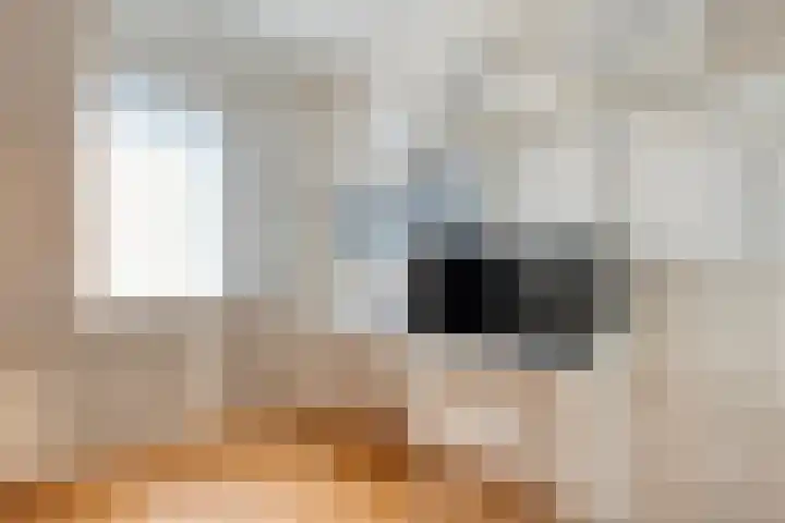 Houtduif 19 Ommen thumbnail 27