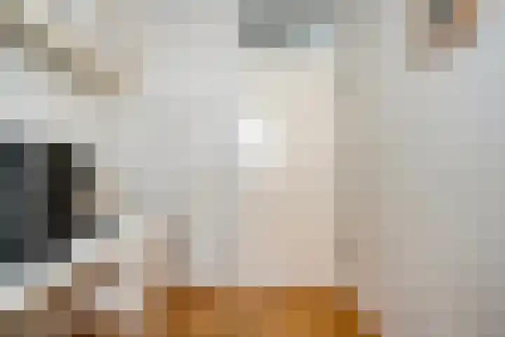 Houtduif 19 Ommen thumbnail 28