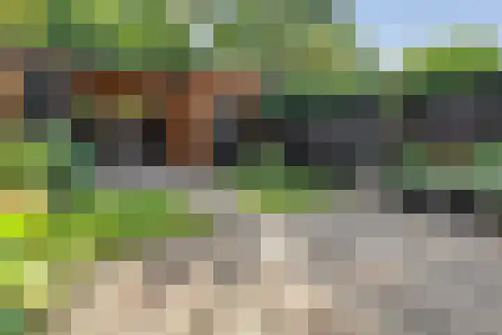 Houtduif 19 Ommen thumbnail 43