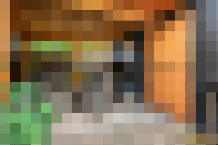 Houtduif 19 Ommen thumbnail 46