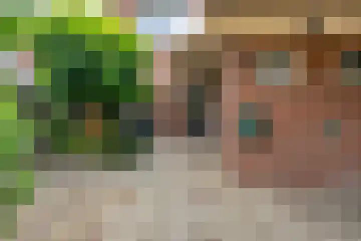Houtduif 19 Ommen thumbnail 6