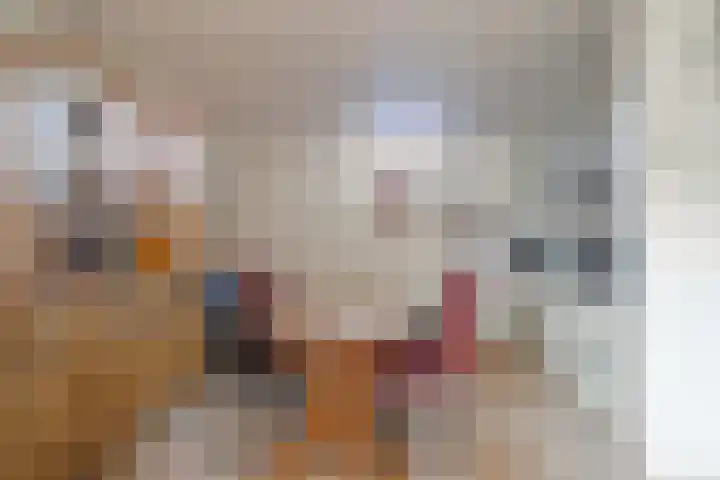 Houterend 37 Stein thumbnail 6