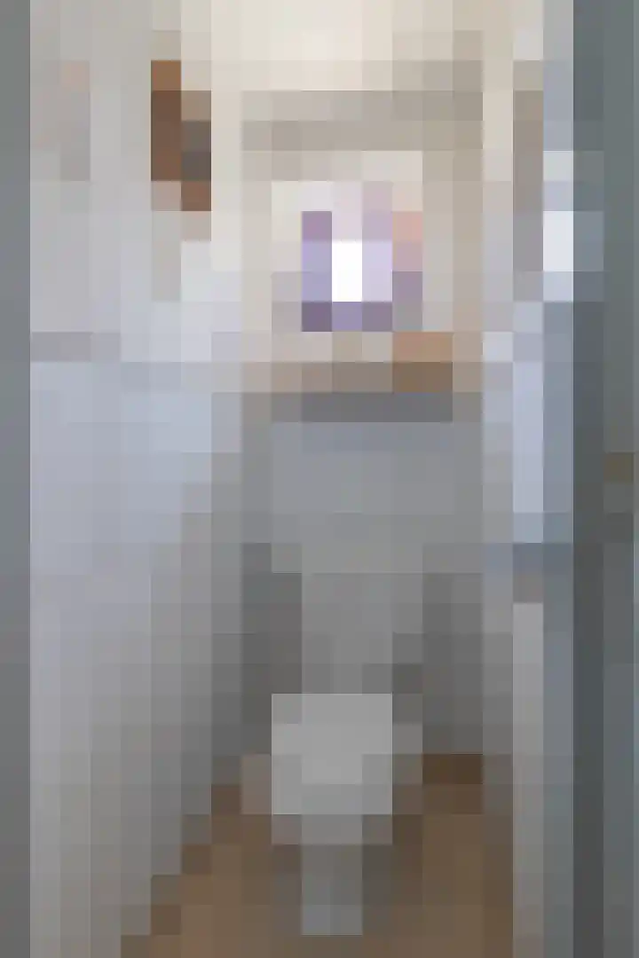 Houterend 37 Stein thumbnail 7
