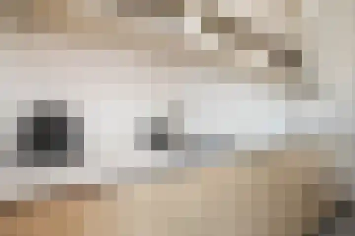 Houterend 57 Stein thumbnail 19