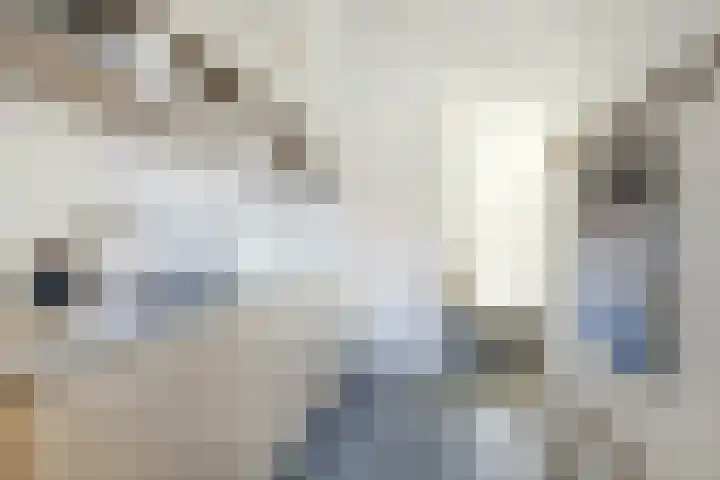 Houterend 57 Stein thumbnail 20