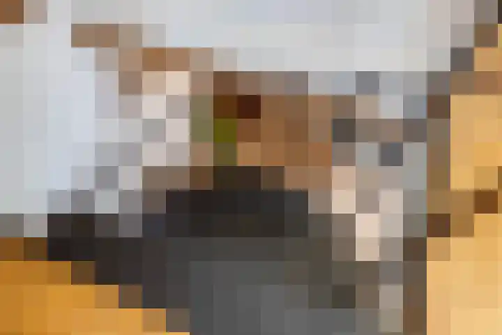 Houterend 57 Stein thumbnail 28