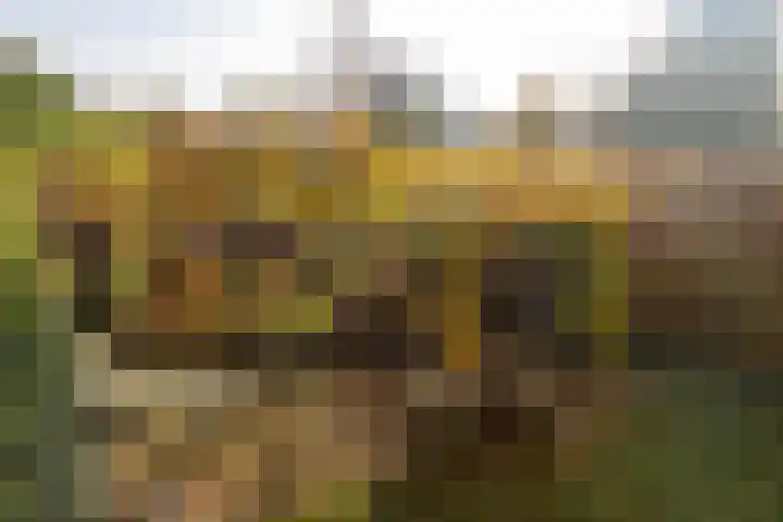 Houterend 57 Stein thumbnail 45