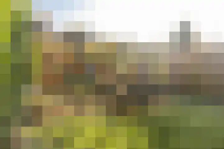 Houterend 57 Stein thumbnail 47