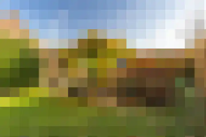 Houterend 57 Stein thumbnail 48