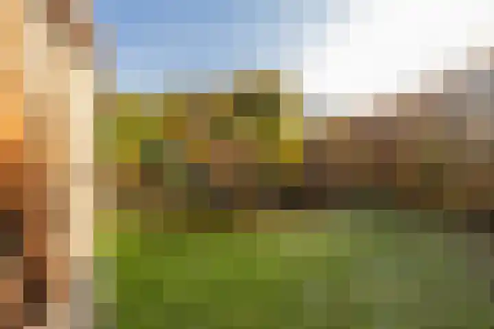 Houterend 57 Stein thumbnail 49
