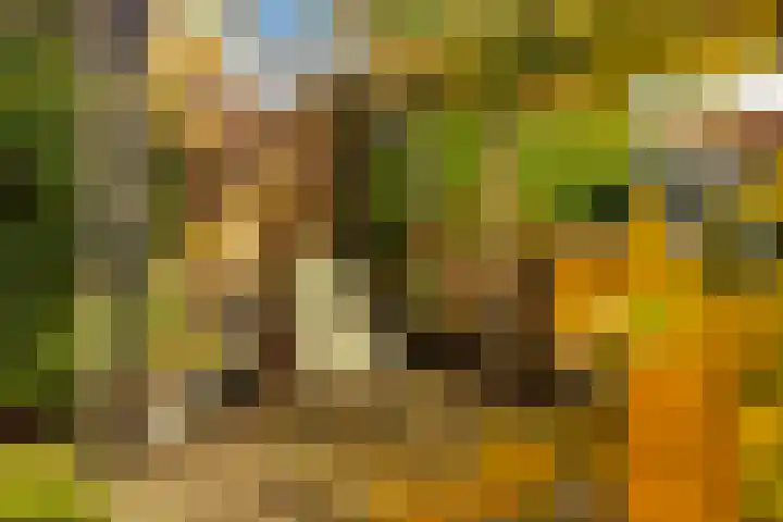Houterend 57 Stein thumbnail 50