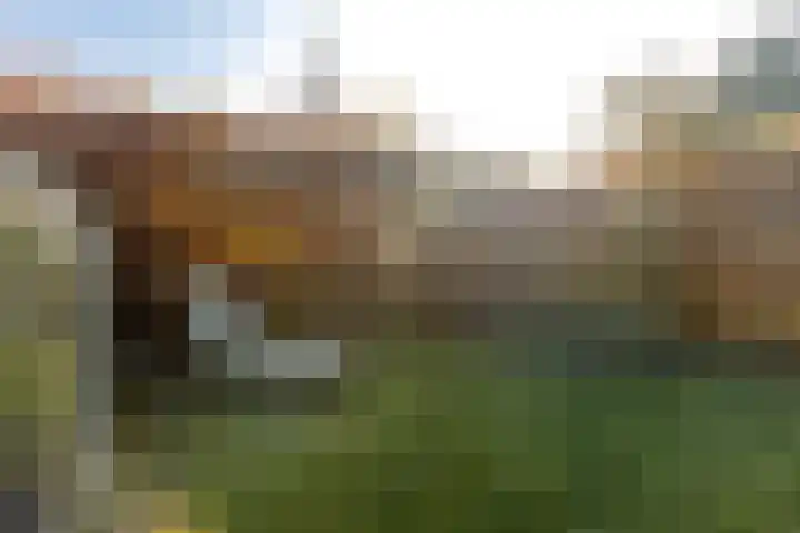 Houterend 57 Stein thumbnail 54