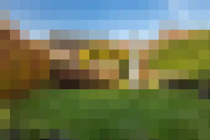 Houterend 57 Stein thumbnail 55