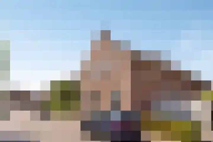 Houterend 74 Stein thumbnail 10