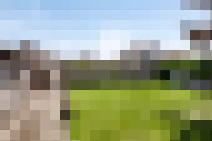 Houterend 74 Stein thumbnail 23