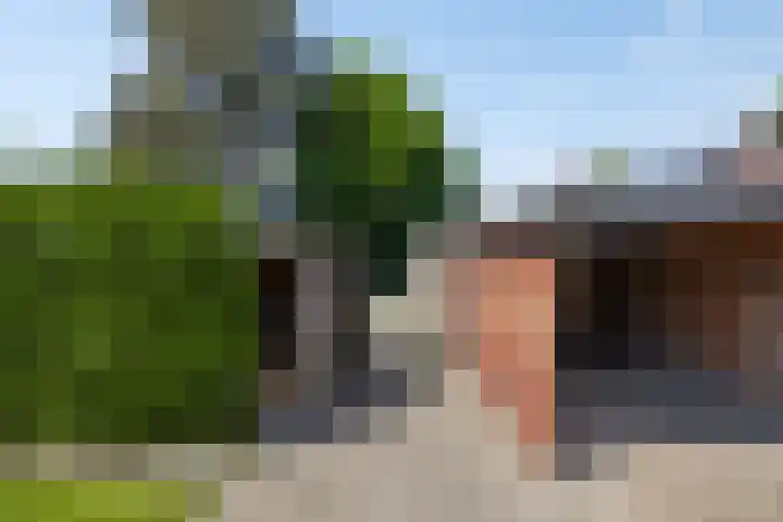 Houterend 74 Stein thumbnail 25