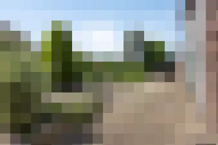 Houterend 74 Stein thumbnail 26
