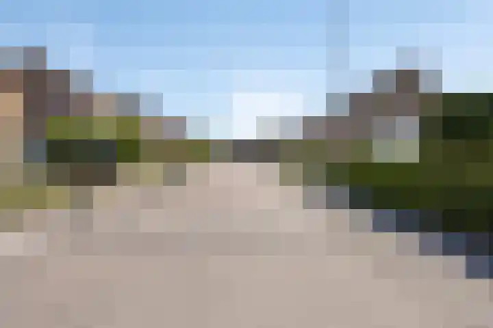 Houterend 74 Stein thumbnail 37