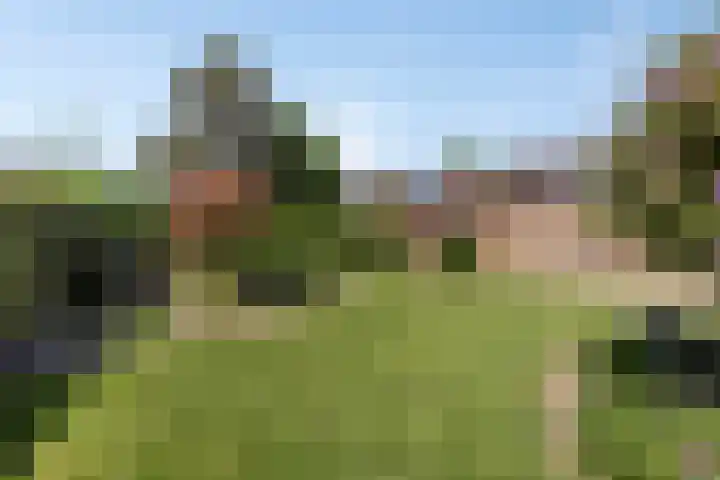 Houterend 74 Stein thumbnail 8