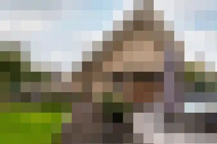 Screenshot van de website van www.houtgraafmakelaardij.nl