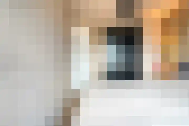 Houtingkolk 30 Zwolle thumbnail 22